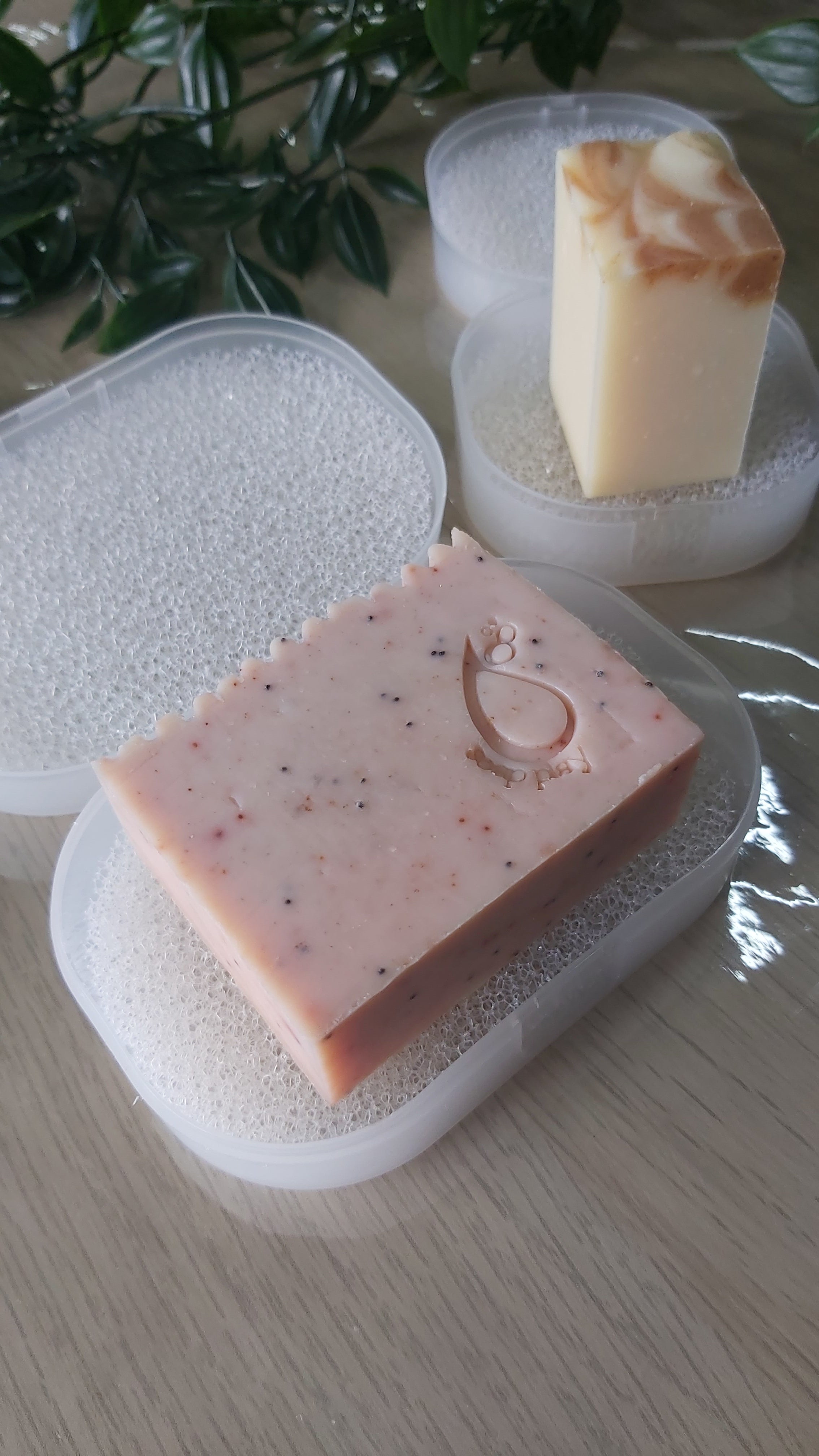 Soap Case