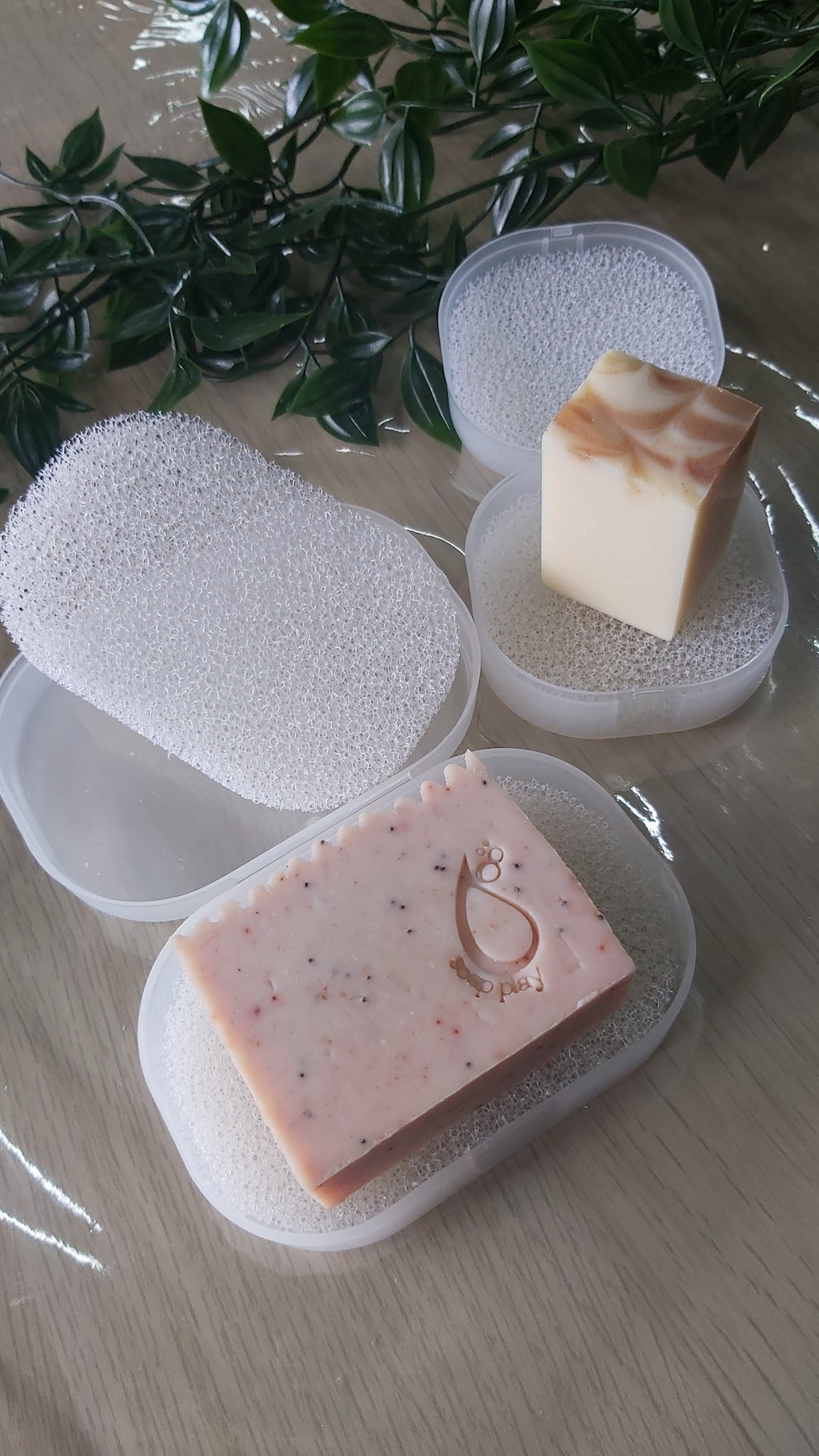 Soap Case