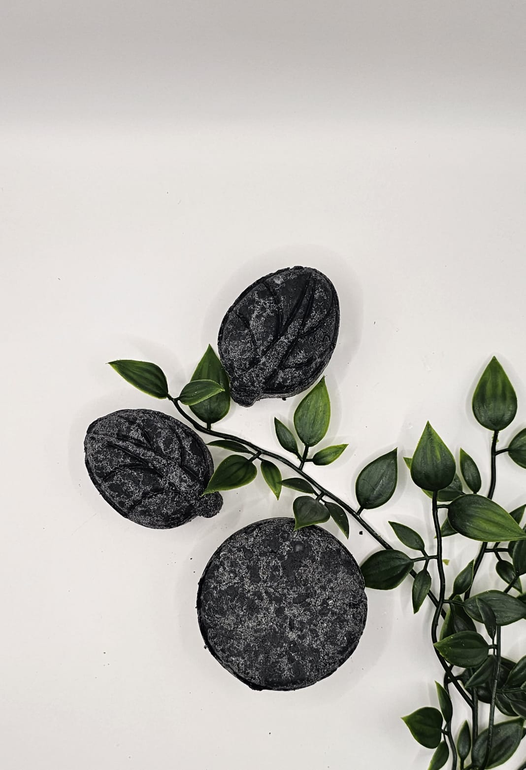 The Double Solid Shampoo Bundle