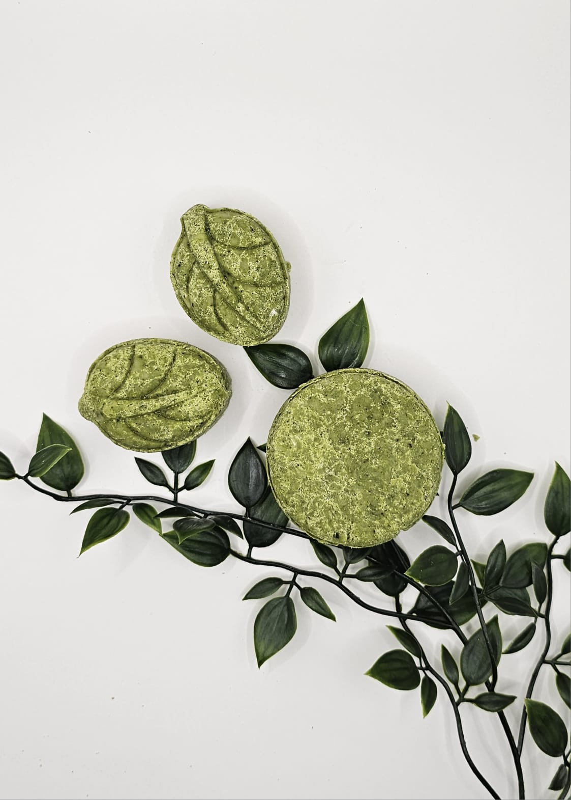 The Double Solid Shampoo Bundle